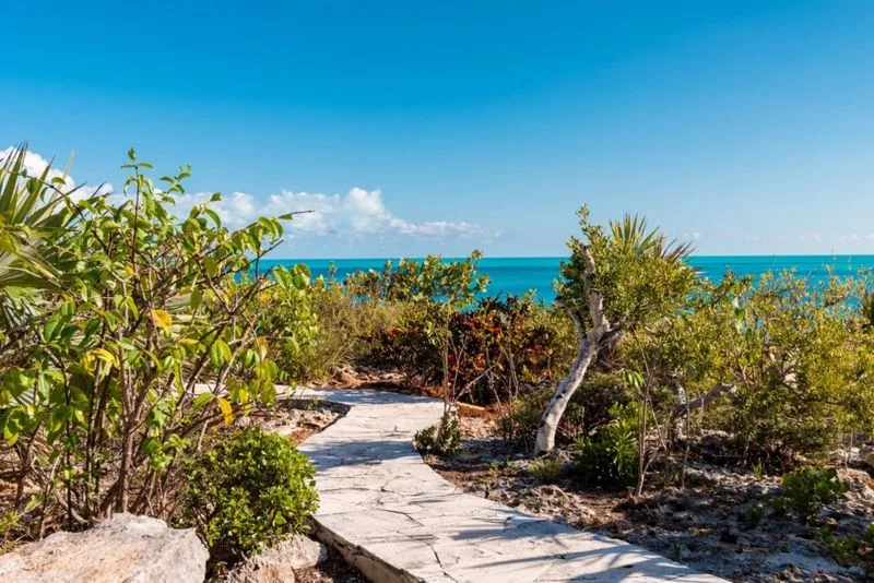 Luxury Oceanfront Villa, 4-bedroom villa for sale in Providenciales, Turks & Caicos - photograph 9