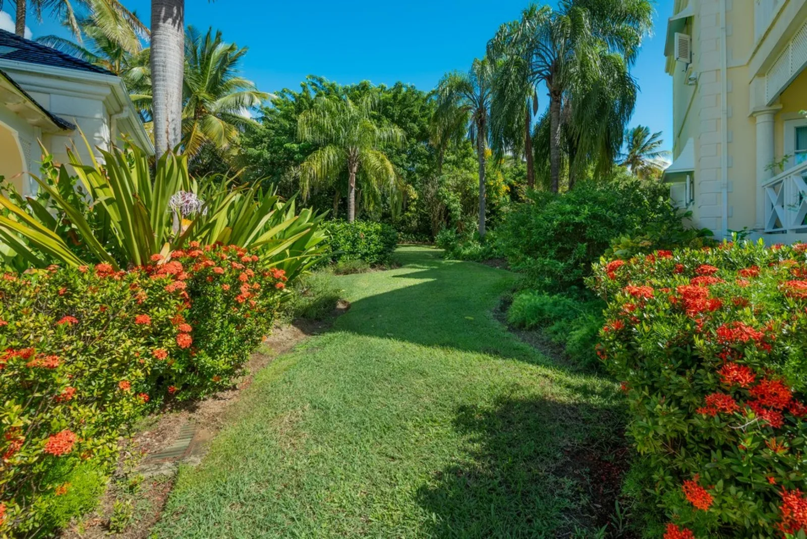 Calliaqua - Sugar Hill, 5-bedroom villa for rent in St James, Barbados - photograph 22