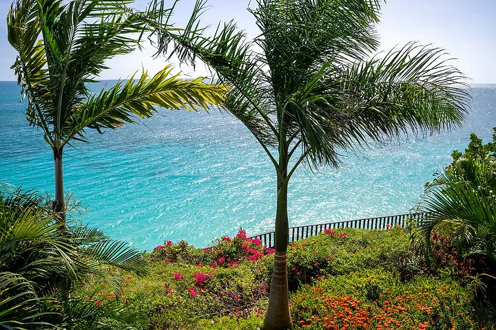 Villa Oasis | Private Garden and Ocean Views, 2-bedroom villa for sale in St Mary, Antigua & Barbuda - palms and garden above the sea