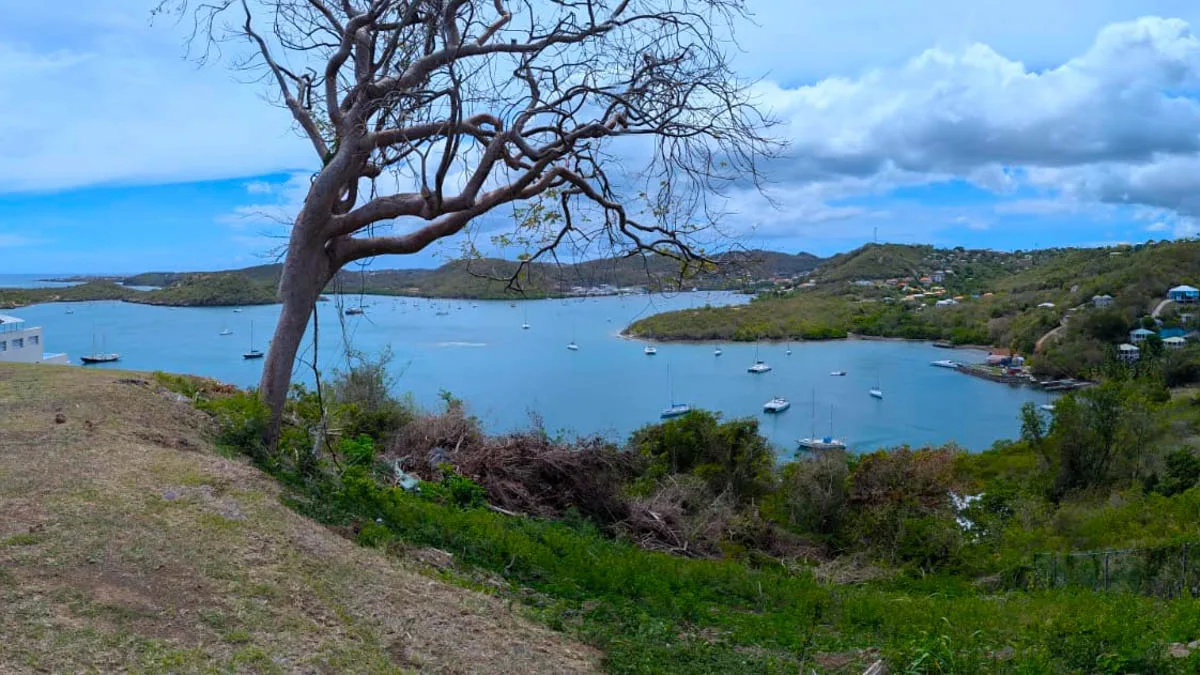 Point Calivigny Estates | Exclusive Waterfront Enclave in Grenada, land for sale in St George, Grenada - photograph 10