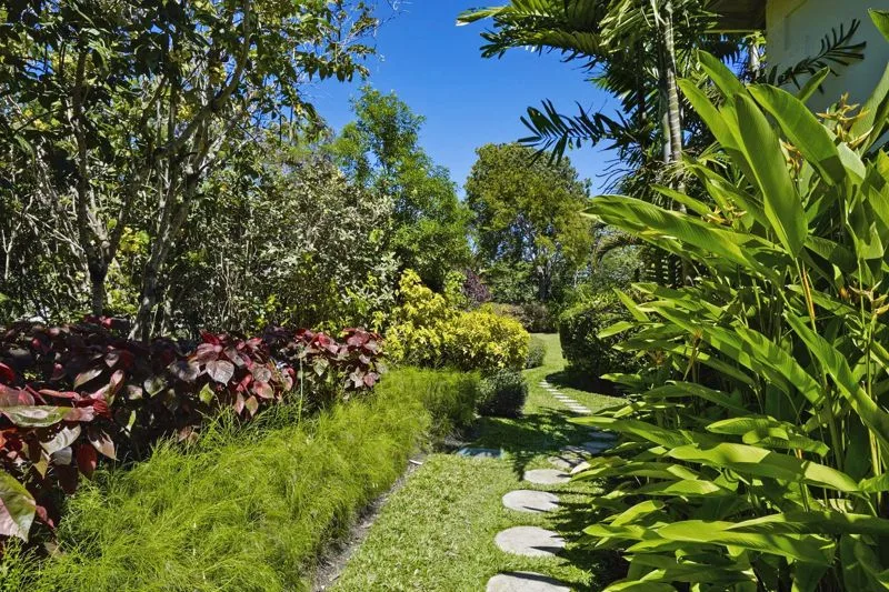 Aliseo - Sandy Lane, 9-bedroom villa for rent in St James, Barbados - photograph 16