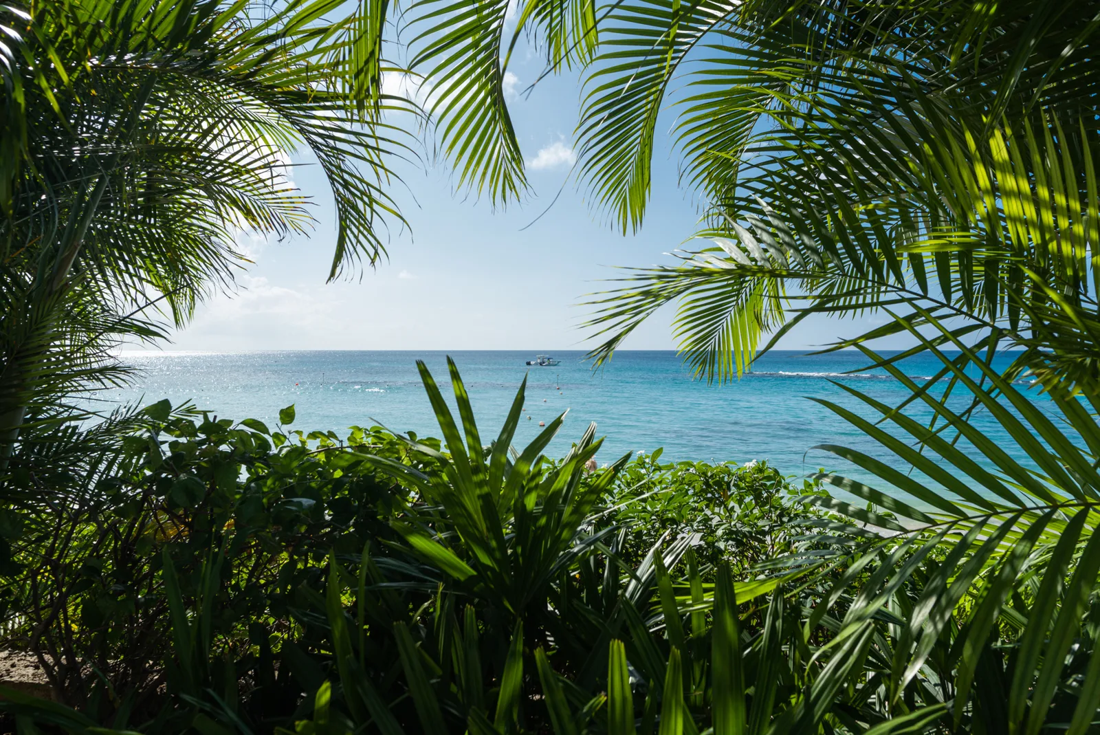 Villa Tamarindo | Iconic Beachfront Retreat, 5-bedroom villa for rent in St James, Barbados - photograph 6