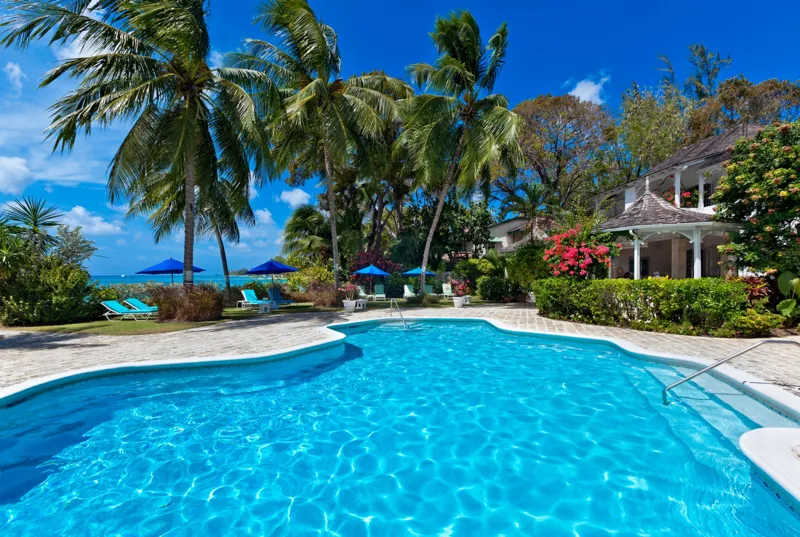 Allamanda - Emerald Beach 2