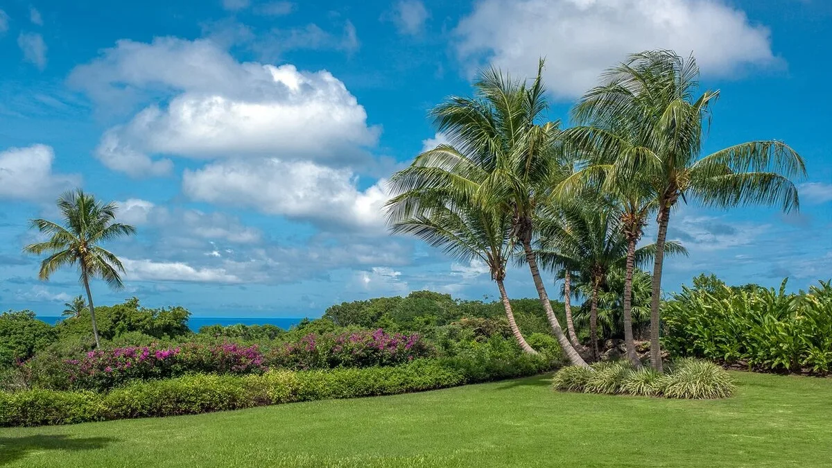 Windfall - Westland Heights | Exclusive Private Haven, 5-bedroom villa for sale in St James, Barbados - photograph 20