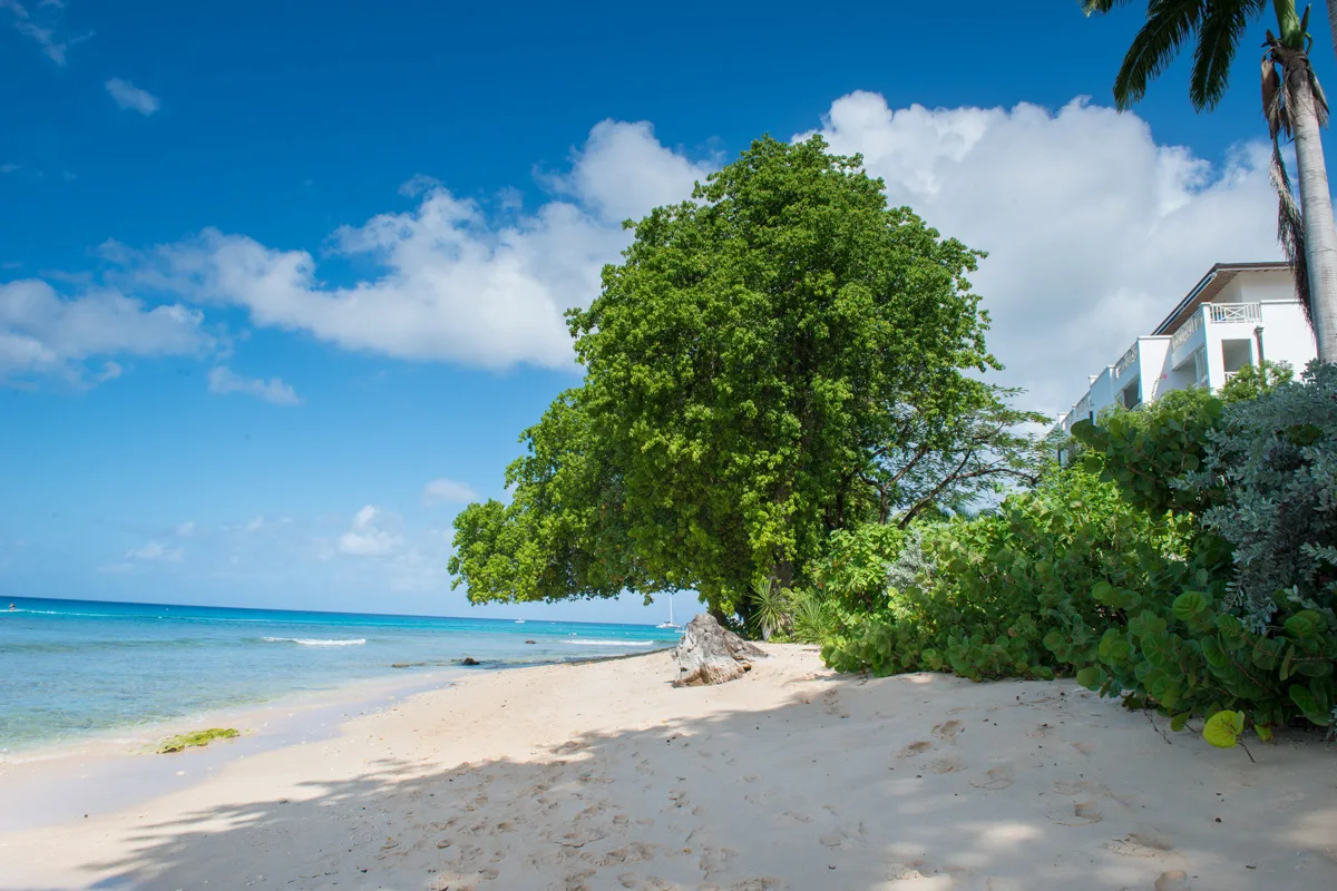 Mahogany Bay - Chanel No.5, 3-bedroom villa for rent in St James, Barbados - photograph 7