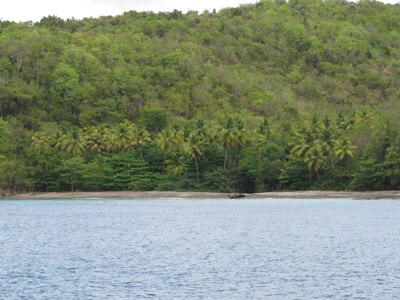 Development Potential Land, photograph 2