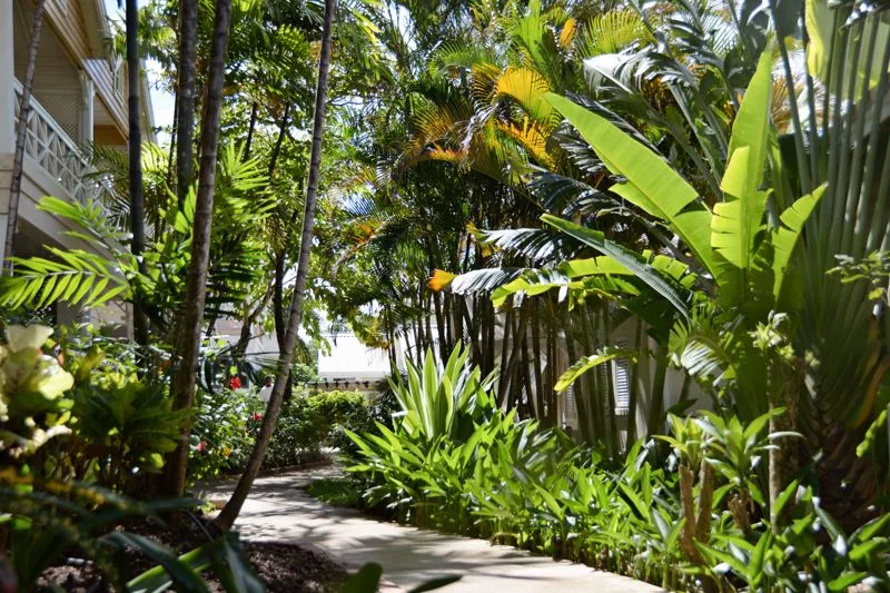 Little Good Harbour, One Bedroom Garden Suite, 1-bedroom villa for rent in St Peter, Barbados - photograph 12