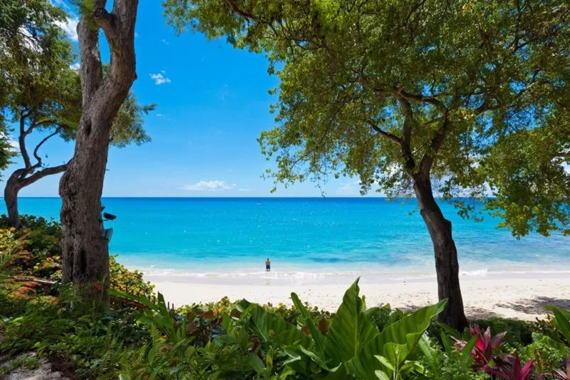 Merlin Bay - Ocean View, 3-bedroom villa for rent in St James, Barbados - photograph 5