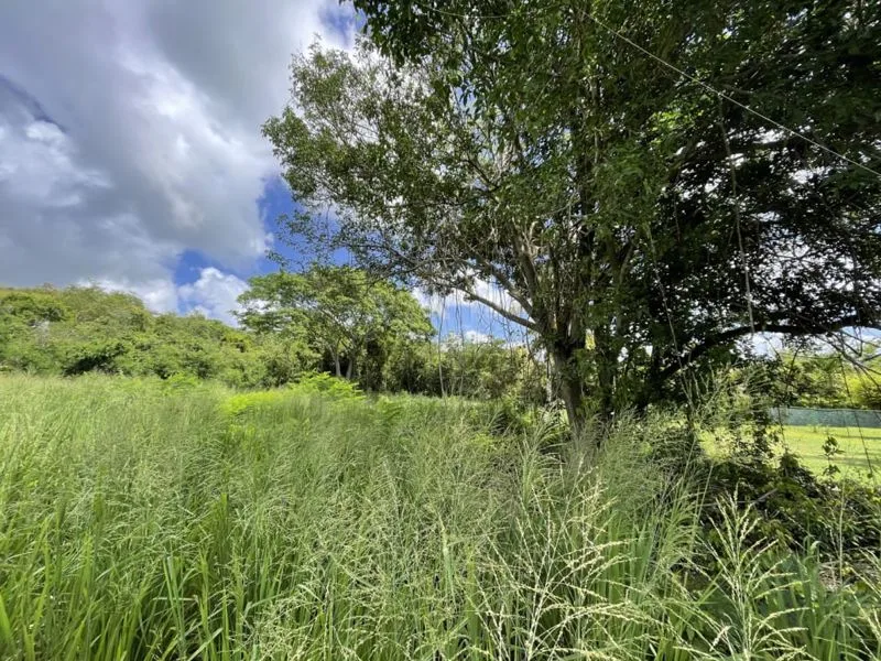 Fox Club Road Lot 2C, land for sale in St James, Barbados - photograph 13