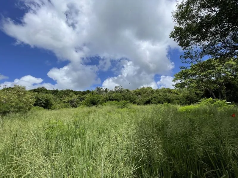 Fox Club Road Lot 2C, land for sale in St James, Barbados - photograph 14