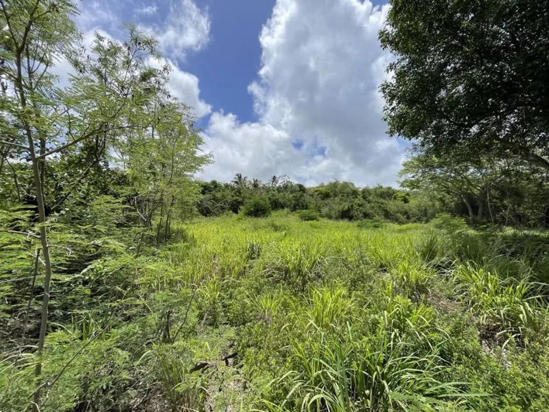 Fox Club Road Lot 2C, land for sale in St James, Barbados - photograph 15