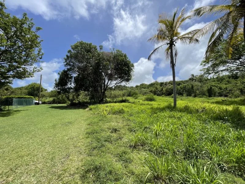 Fox Club Road Lot 2C, land for sale in St James, Barbados - photograph 16