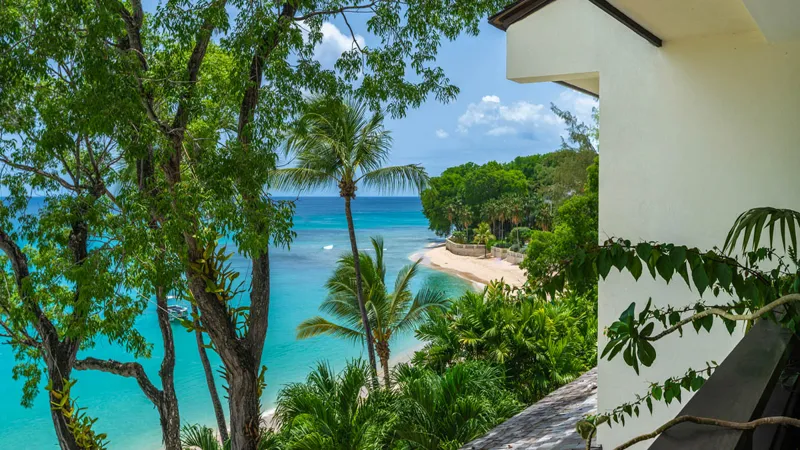 Coral Cove 10, photograph 3
