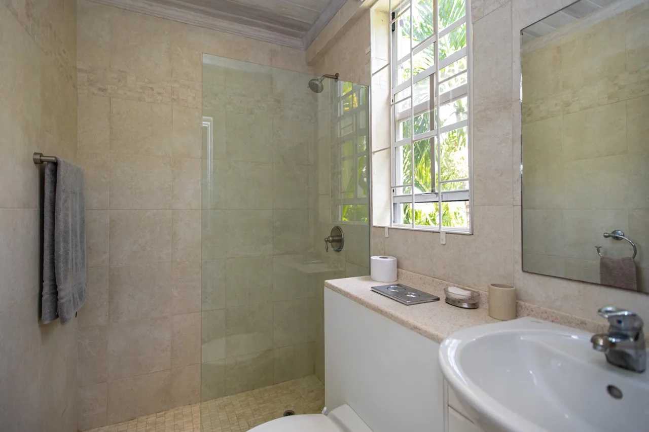 Nevis Villa - Heywoods, 3-bedroom villa for rent in St Philip, Barbados - photograph 4