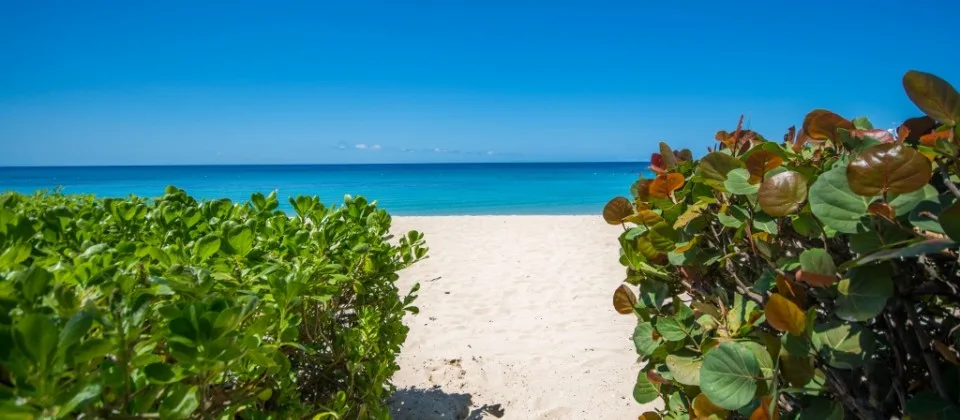 Port St. Charles 178 - Beachfront Apartment, 3-bedroom townhouse for rent in St Peter, Barbados - photograph 2