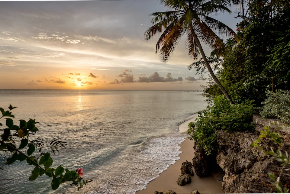 Maddox - The Garden, 7-bedroom villa for rent in St James, Barbados - photograph 26