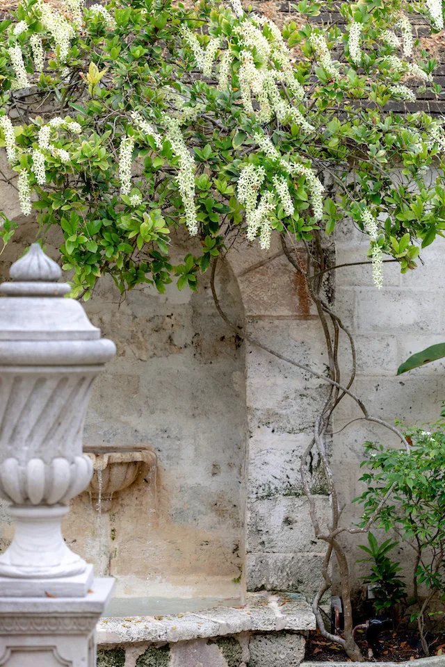 Maddox - The Garden, 7-bedroom villa for rent in St James, Barbados - photograph 9