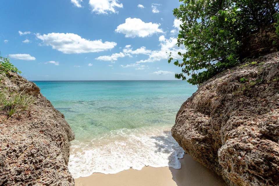 Maddox - The Garden, 7-bedroom villa for rent in St James, Barbados - photograph 25
