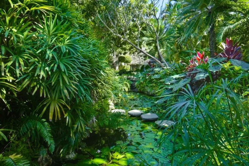 Mango Bay Villa, 7-bedroom villa for rent in St James, Barbados - photograph 21