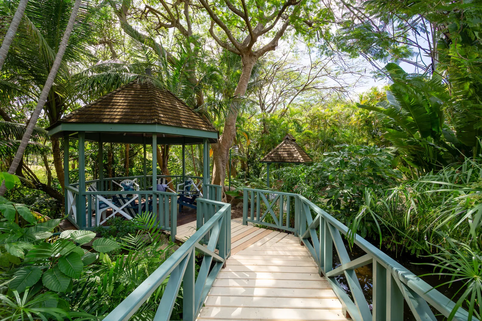 Papagallo, 5-bedroom villa for rent in St James, Barbados - photograph 19