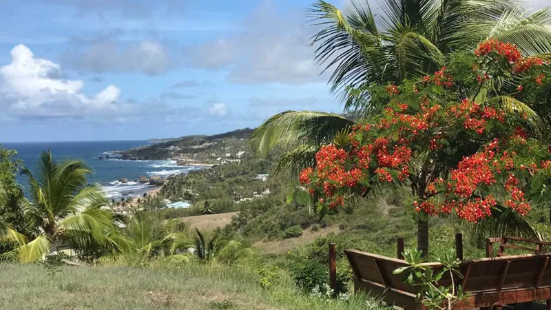 Atlantic Park Lot 58 | Cattlewash Land with Ocean Views