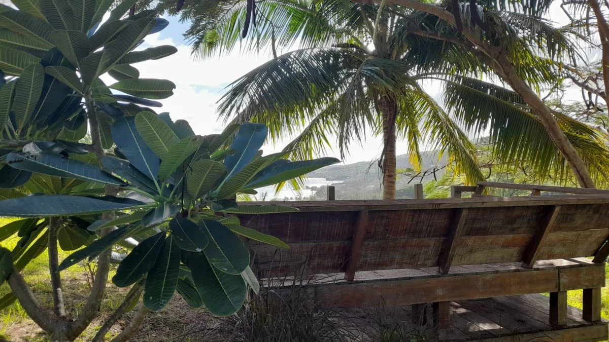 Atlantic Park Lot 58 | Cattlewash Land with Ocean Views, land for sale in St Joseph, Barbados - photograph 4