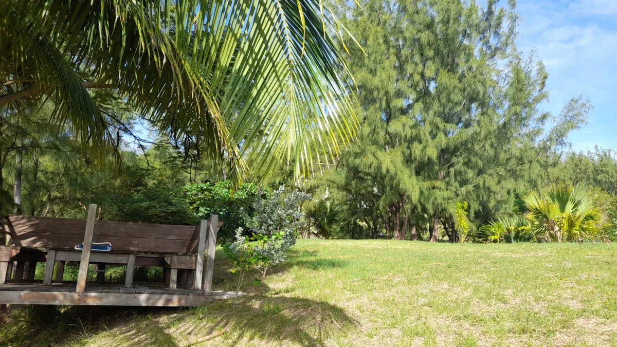 Atlantic Park Lot 58 | Cattlewash Land with Ocean Views, land for sale in St Joseph, Barbados - photograph 6