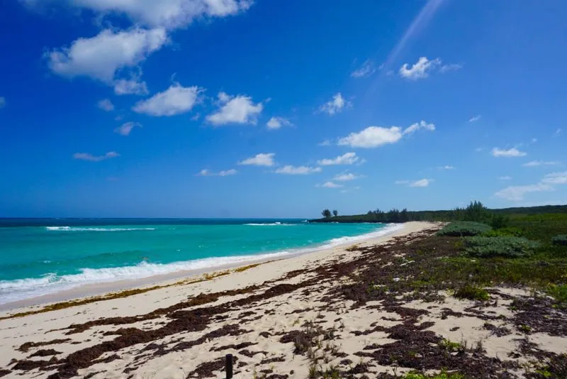 Powell Cay Private Island, private island for sale in The Abacos, Bahamas - photograph 11