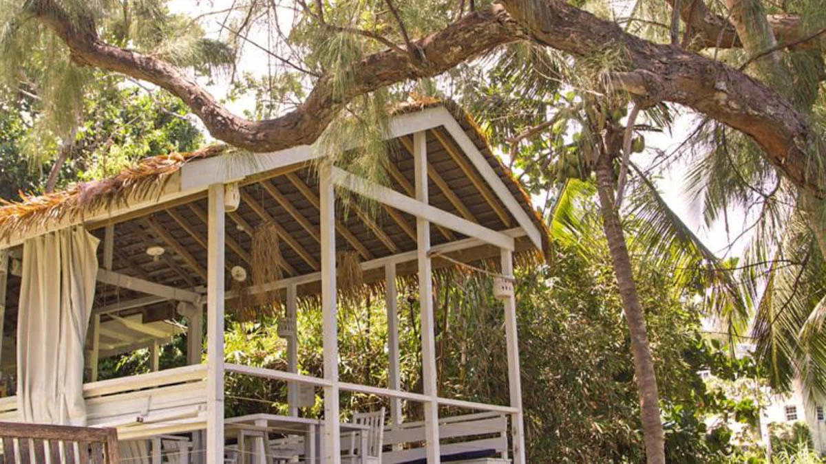 ECO Lifestyle & Lodge | Iconic Boutique Hotel On The East Coast, commercial property for sale in St Joseph, Barbados - photograph 14