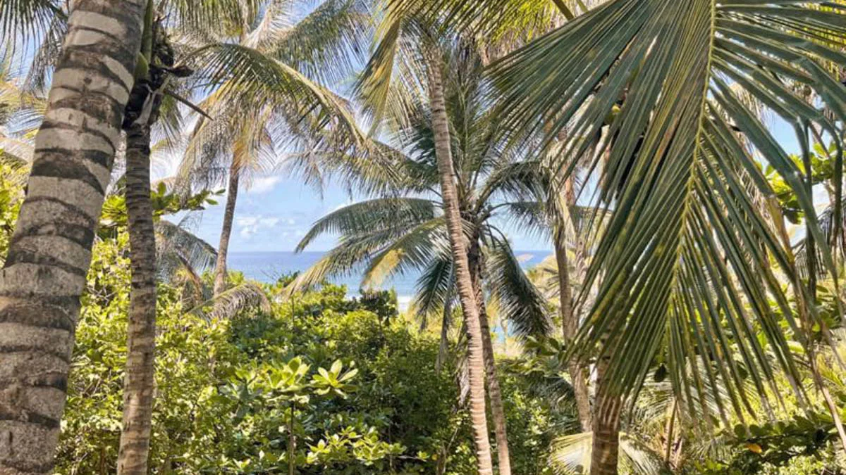 ECO Lifestyle & Lodge | Iconic Boutique Hotel On The East Coast, commercial property for sale in St Joseph, Barbados - photograph 16