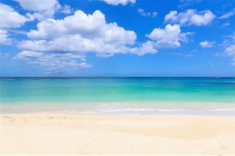 Sandy Cove 201 | Paradise - Luxury Holiday Apartment, 3-bedroom apartment for rent in St James, Barbados - photograph 19