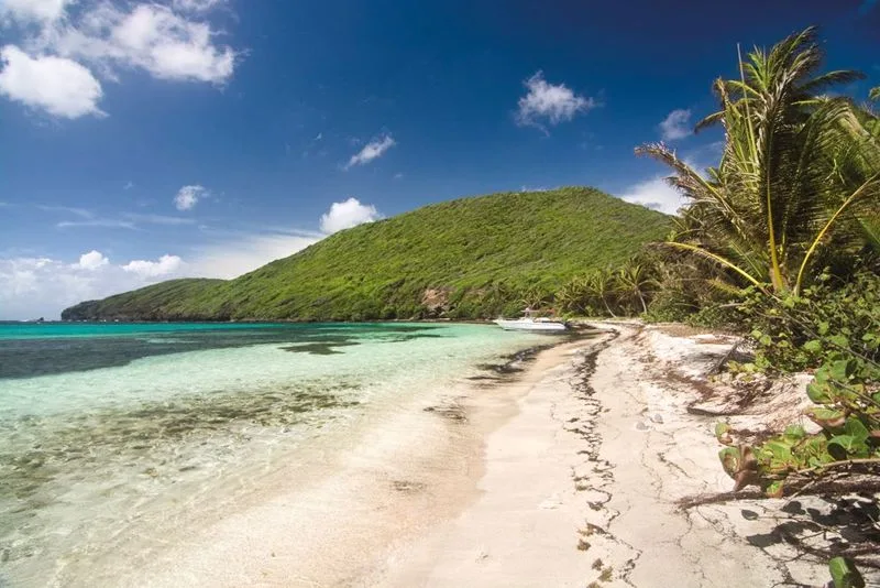 Isle a Quatre - Private Island, private island for sale in The Grenadines, St Vincent & The Grenadines - photograph 17