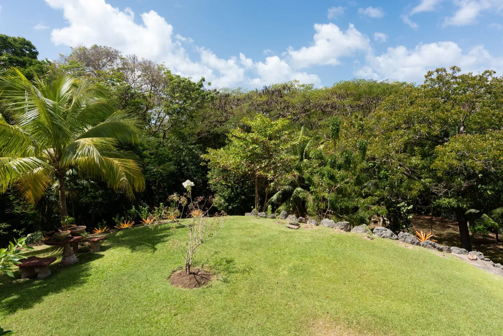 Sunset Ridge 44 | Caribbean Charm Villa, 5-bedroom villa for sale in St James, Barbados - photograph 16