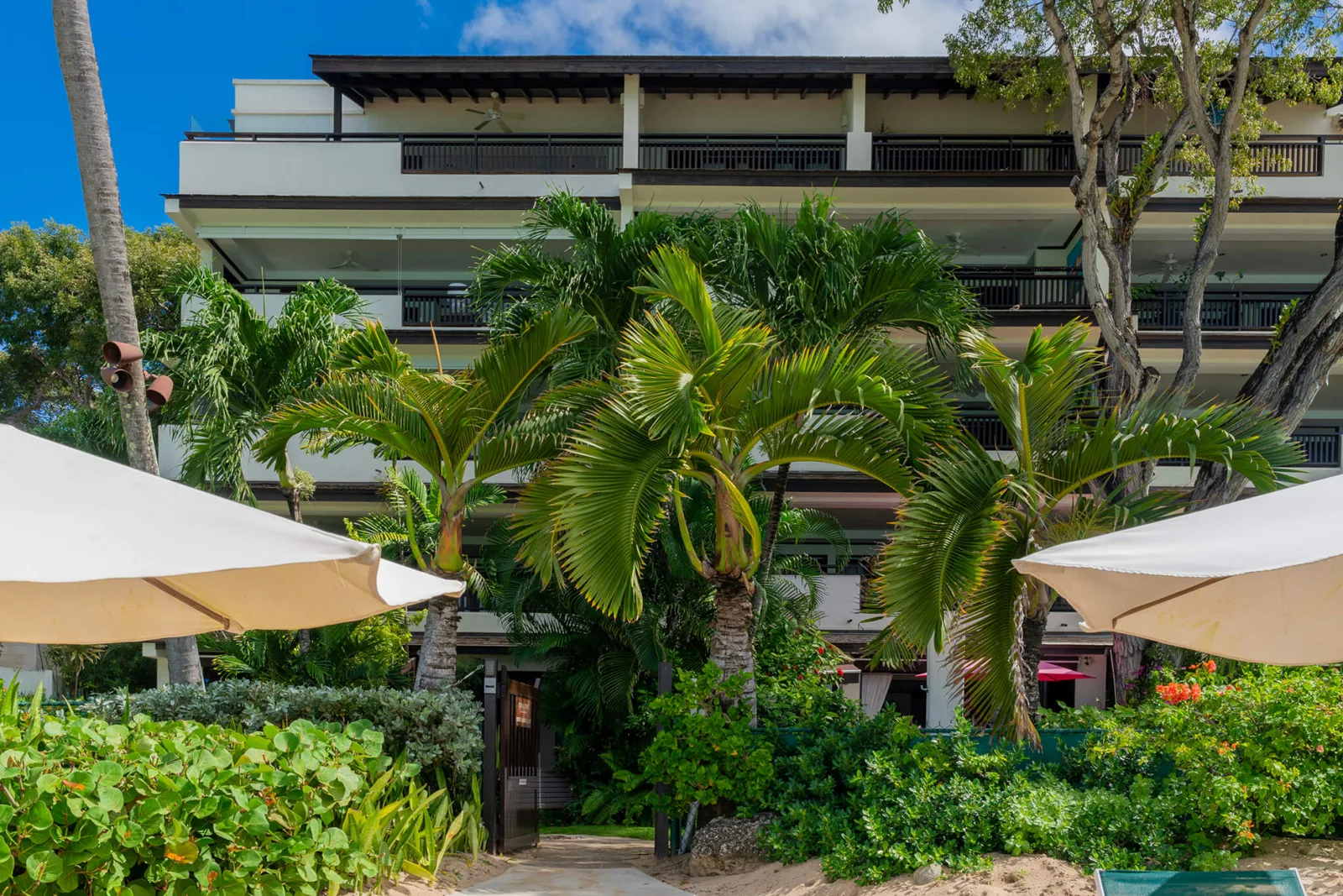 Life’s a Beach, Coral Cove - Paynes Bay Beach, 3-bedroom apartment for rent in St James, Barbados - photograph 21