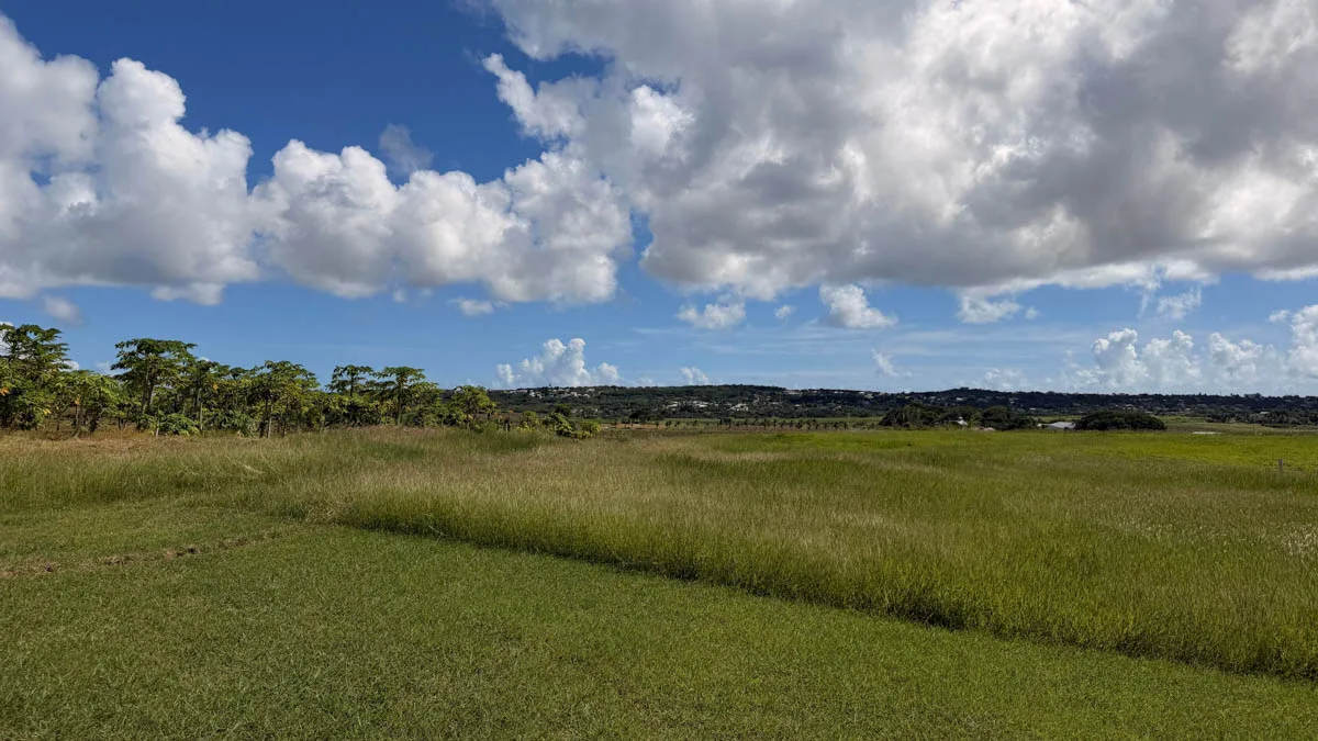 Lot 7 Valley Plantation | Land with Potential, land for sale in St George, Barbados - Lot 7 Valley Plantation View 2