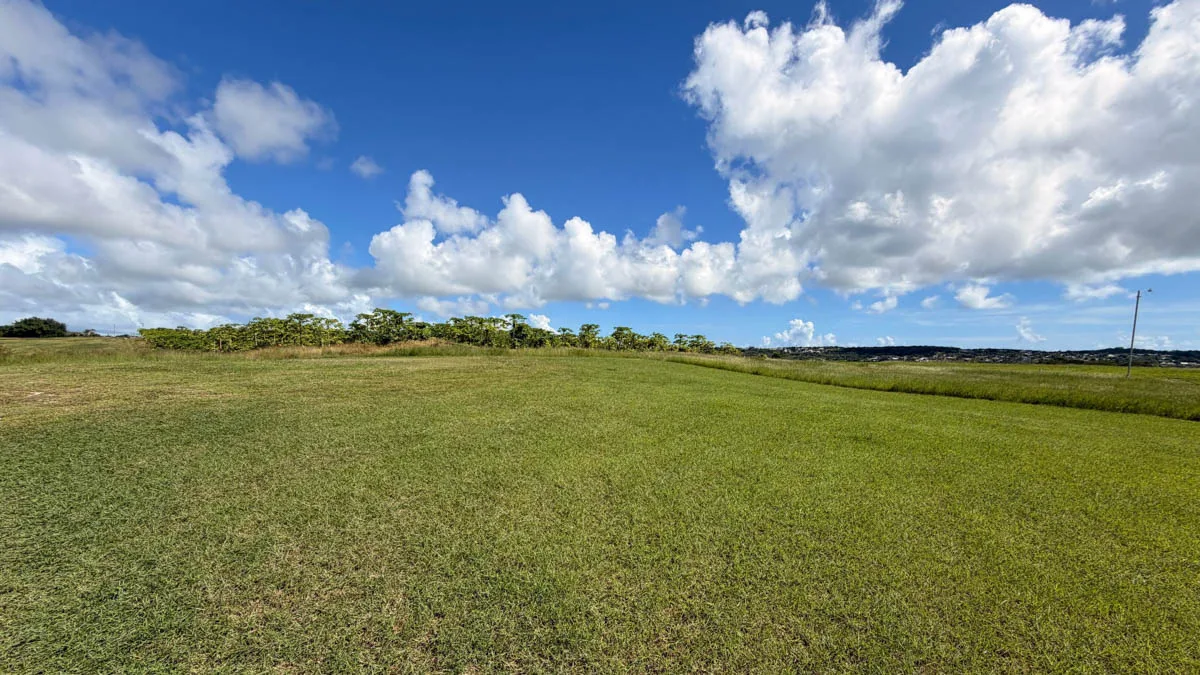 Lot 7 Valley Plantation | Land with Potential, land for sale in St George, Barbados - Lot 7 Valley Plantation View 4