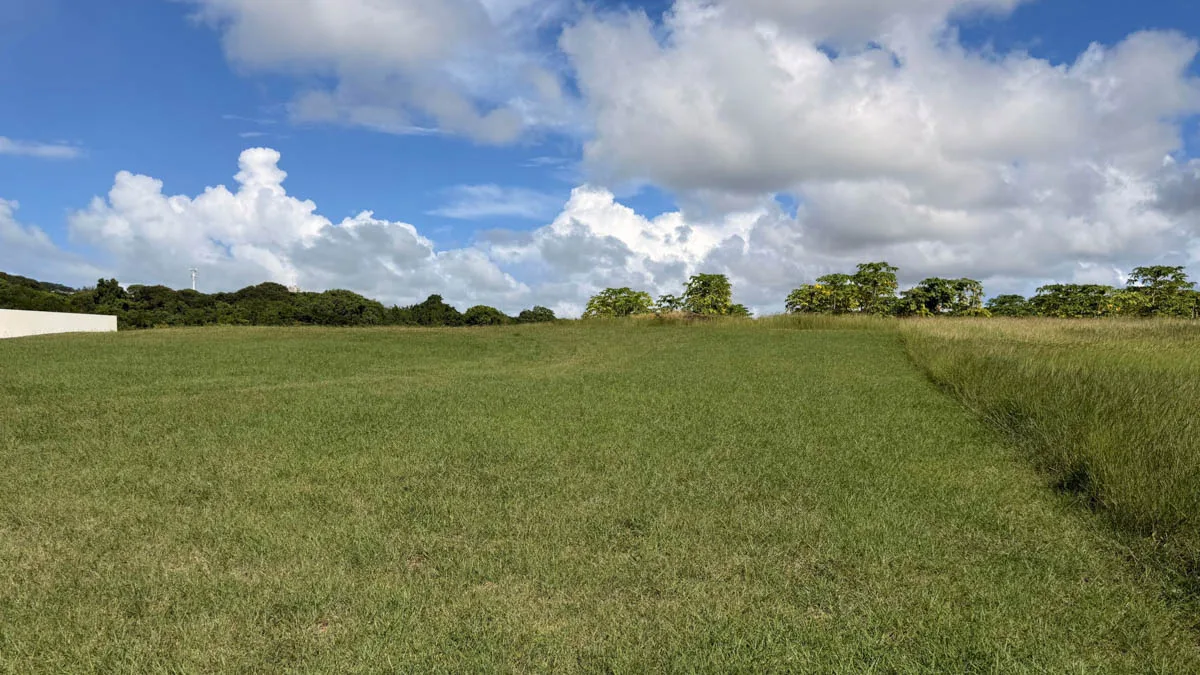 Lot 7 Valley Plantation | Land with Potential, land for sale in St George, Barbados
