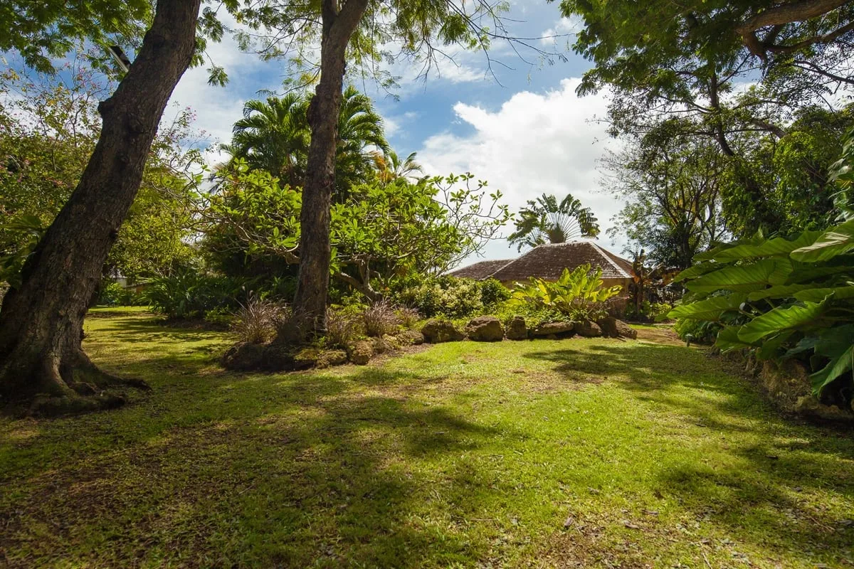 Mullins Mill - Mullins, 8-bedroom villa for rent in St James, Barbados - photograph 16