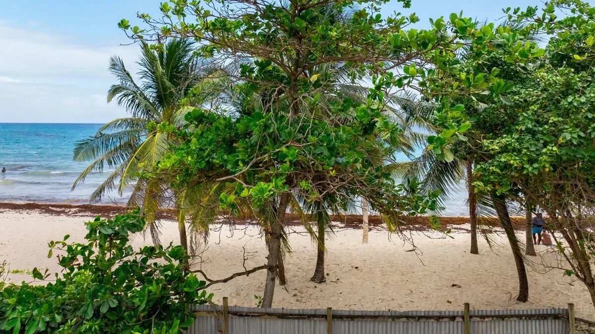 Accra Beachfront Land | Development Opportunity, land for sale in Christ Church, Barbados - photograph 9