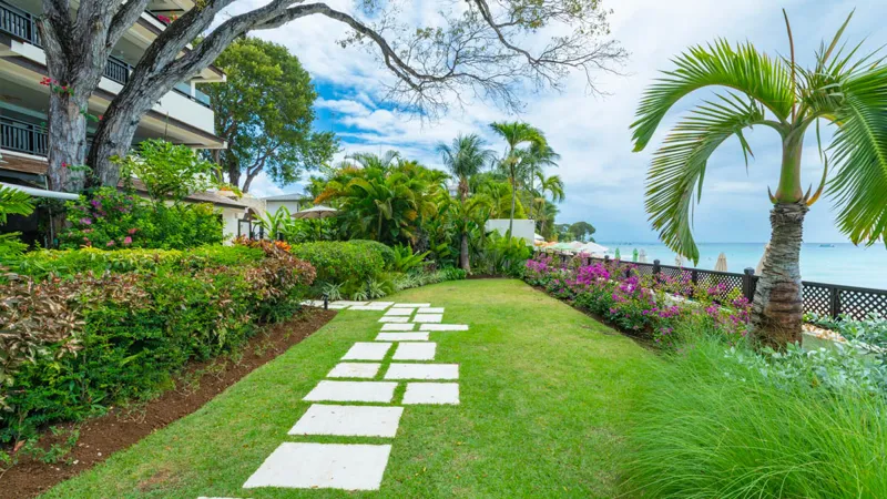 Coral Cove 1, photograph 4
