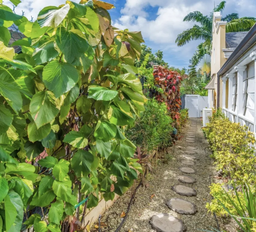 Porters Court 3, 2-bedroom villa for rent in St James, Barbados - photograph 13