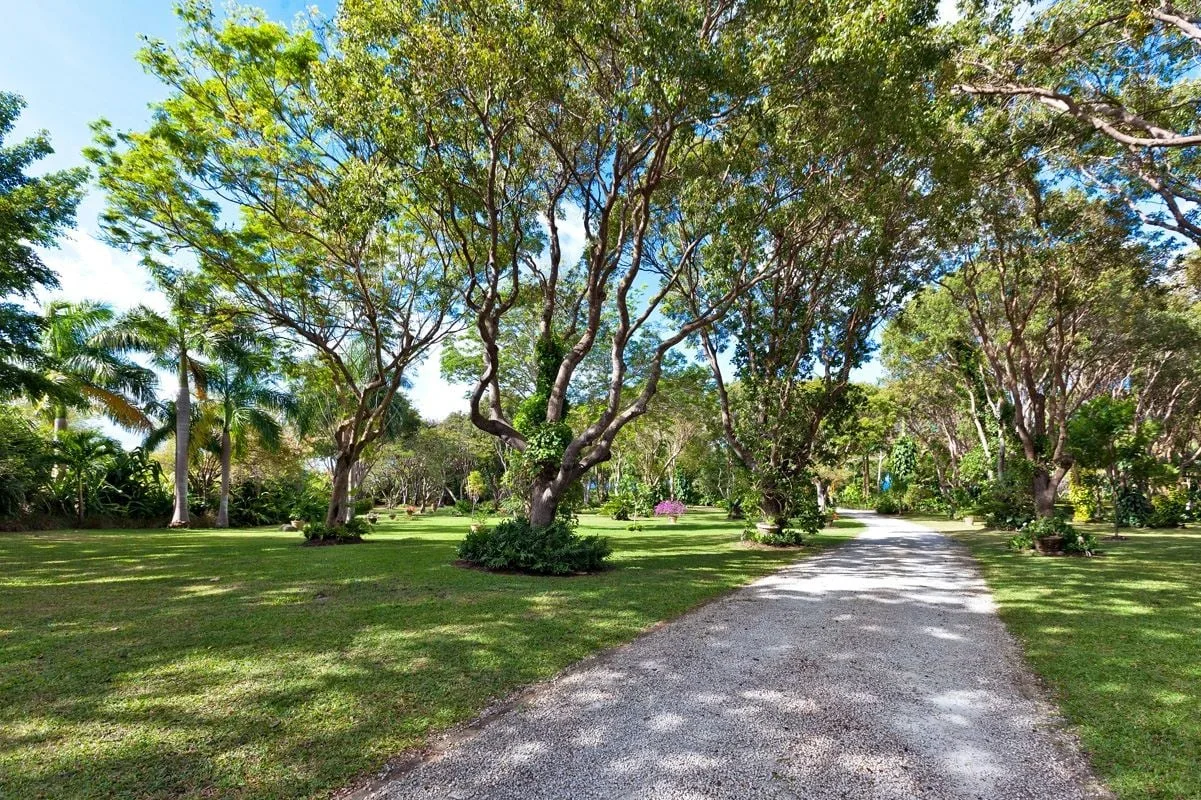 Fustic House | Oliver Messel Designed Estate, 7-bedroom villa for rent in St Lucy, Barbados - photograph 10