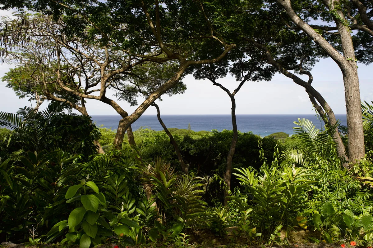 Fustic House | Oliver Messel Designed Estate, 7-bedroom villa for rent in St Lucy, Barbados - photograph 30