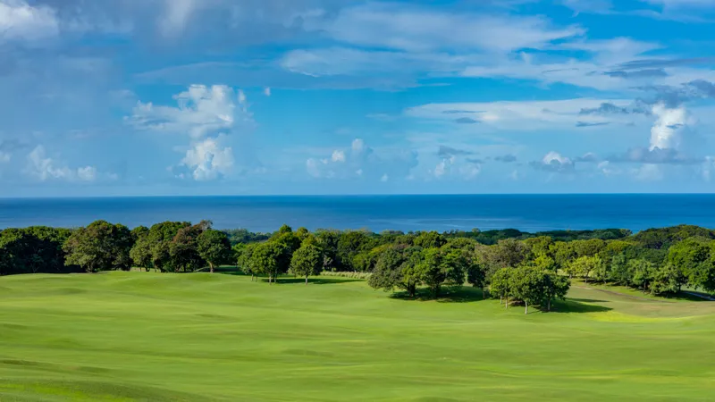 Royal Westmoreland | Ocean View Land