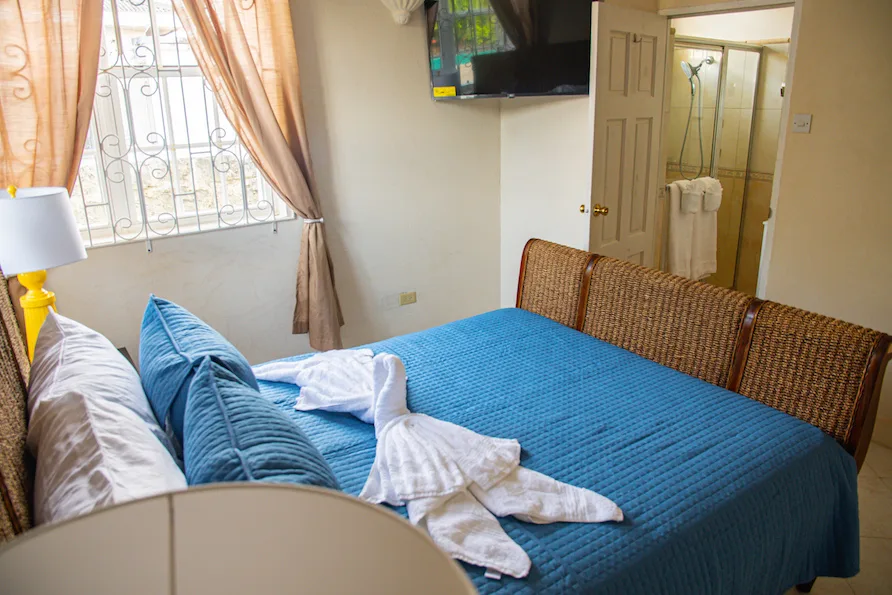 Paradise Villa - Prospect, 3-bedroom villa for rent in St James, Barbados - photograph 11