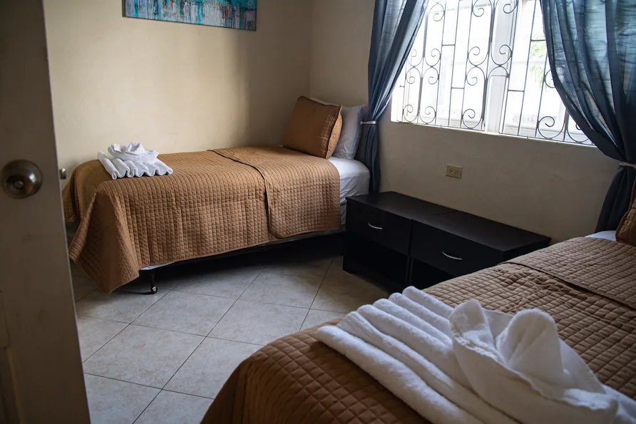 Paradise Villa - Prospect, 3-bedroom villa for rent in St James, Barbados - photograph 19