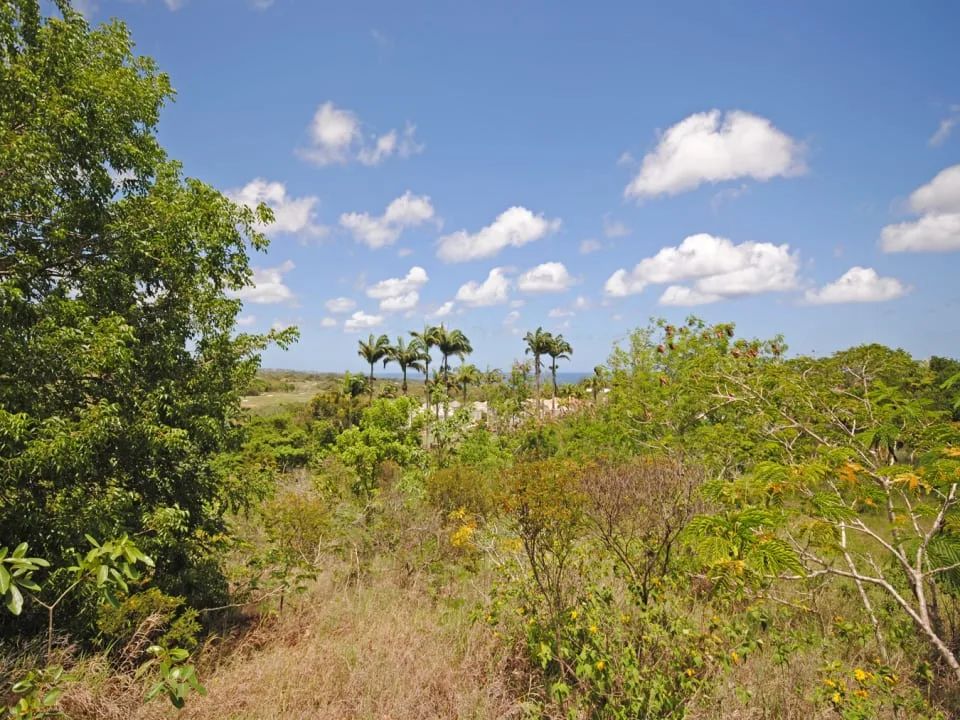 Westmoreland Ridge 10 and 10A, land for sale in St James, Barbados - photograph 4