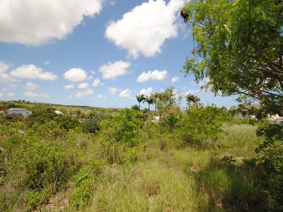 Westmoreland Ridge 10 and 10A, land for sale in St James, Barbados - photograph 5