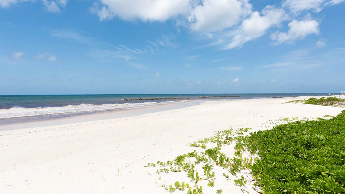 Ocean One 203 | Comfortable Three-Bedroom Beachfront Residence, 3-bedroom apartment for sale in Christ Church, Barbados - photograph 2