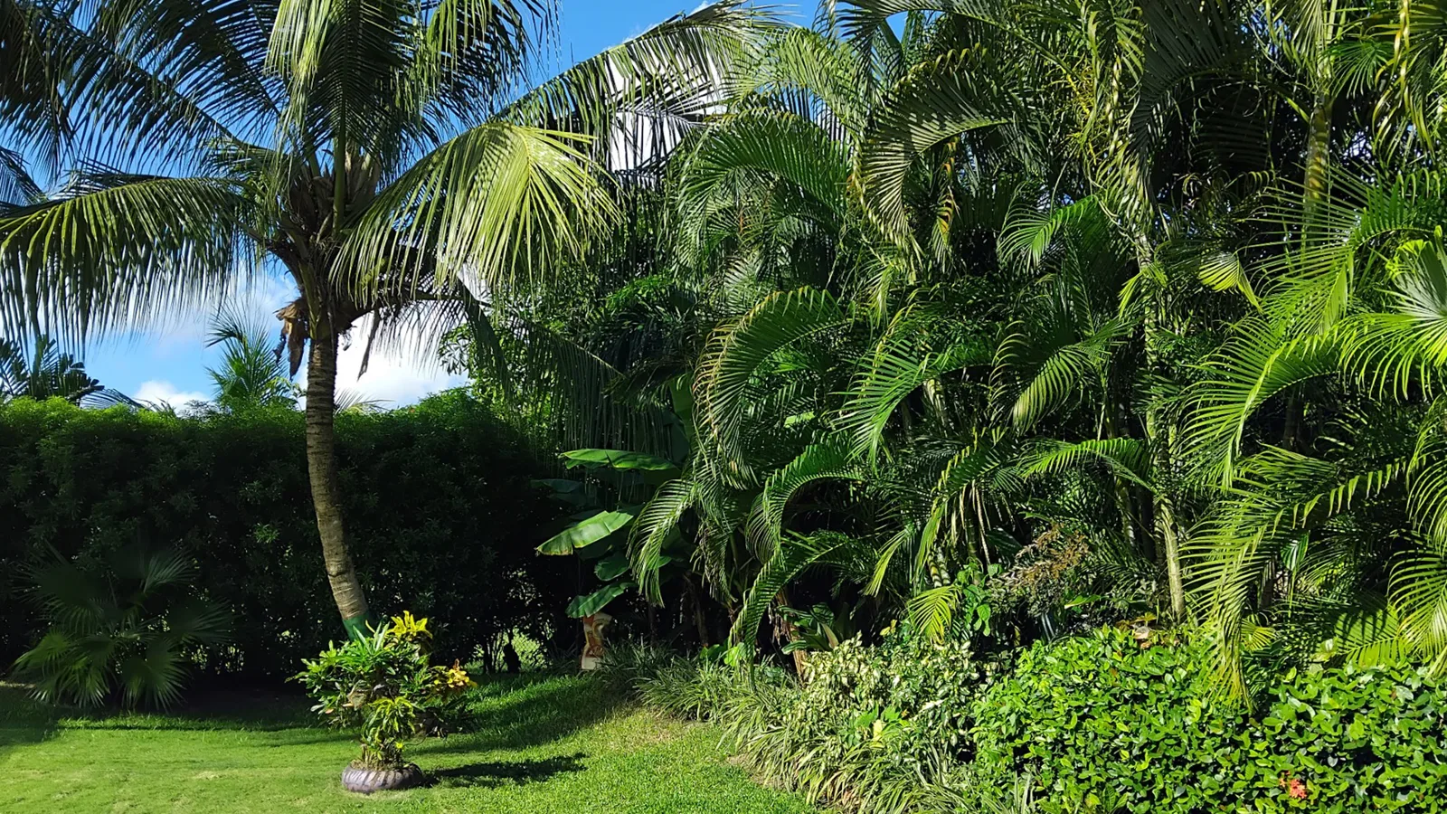 Hakuna Matata | Tropical Eco Haven, 3-bedroom villa for sale in St James, Barbados - photograph 3